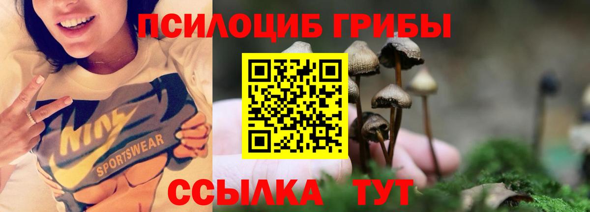 Старая Русса  Галлюциногенные грибы Psilocybine cubensis  Псилоцибиновые грибы прущие грибы  Вход с VPN 